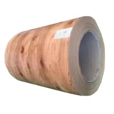 China Manufacturing Pipes Low Price PPGI PPGL Color Coated Prepainted Steel Coil for sale