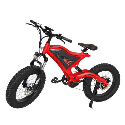 China Customized aluminum alloy off road 20 inch wheel 500w 48v fat dirt e cycle electric bike for sale