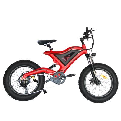 China Aluminum Alloy Double Suspension Controller 500w 20inch Fat Tire 48v Smart Electric Bike for sale