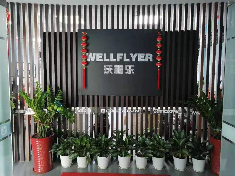 Verified China supplier - Shenzhen Wellflyer Technology Co., Ltd.