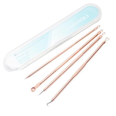 China Wellflyer Stainless Steel 4pcs Rose Gold Silver Blackhead Remover Kit Set for sale