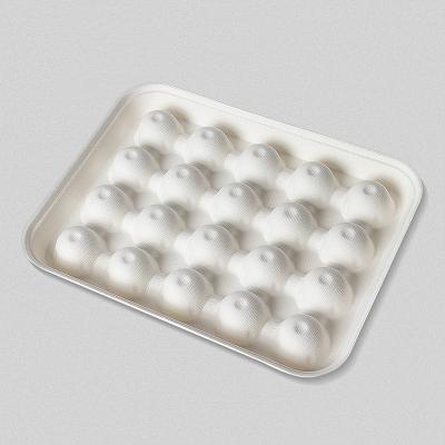 China Hot Selling Disposable Biodegradable Bagasse Lunch Box Food Fresh Fruit Blister Packaging Degradable 20 Cell Tray for sale