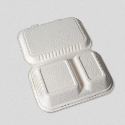 China 2 Compartment Recyclable Sugar Cane Bagasse 100% Biodegradable Disposable Food Box for sale