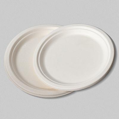 China Hot Sales Disposable Useful Waterproof Greaseproof Eco Friendly Disposable Paper Oval Dish for sale