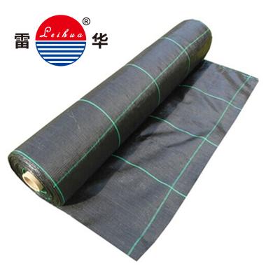 Cina NTPEP Certification BIODEGRADABLE Polypropylene Geotextile in vendita