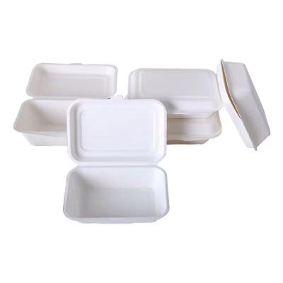 China Minimalist 450ml Disposable Biodegradable Leak Proof Microwavable Bento Lunch Box Take Away for sale