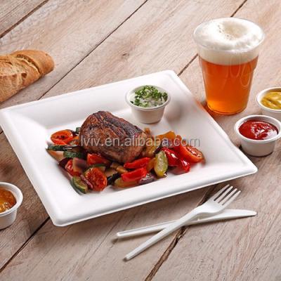 China Bagasse 100% Minimalist Disposable Biodegradable Tableware for sale