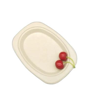 China Minimalist Biodegradable Disposable Bagasse Square Dish for sale