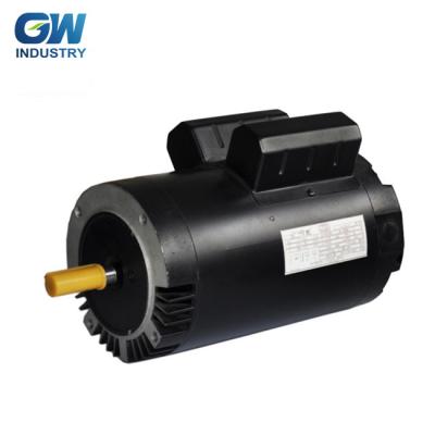 China GW Products Single Phase 2hp Totally Enclosed Electric Swimming Pool Pump Electric Motor for sale