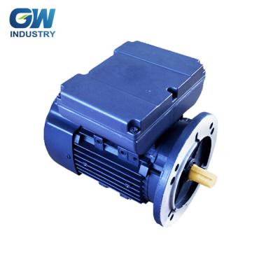 China partial hp IEC gw asynchronous motor single phase drip proof for sale