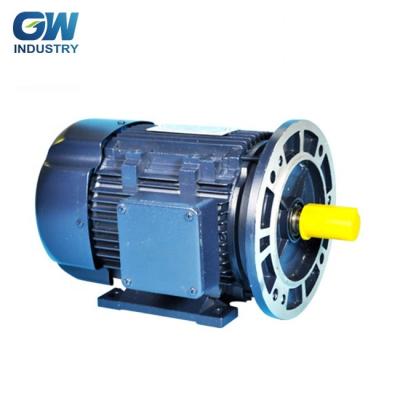 China GW IE2 IE3 Drip Proof ELECTRIC Machining Machine 3 Phase Induction Motor for sale