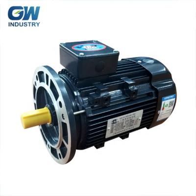 China drip-proof 220v 380 v gw IE3 premium efficiency 3 phase ac induction motor for sale