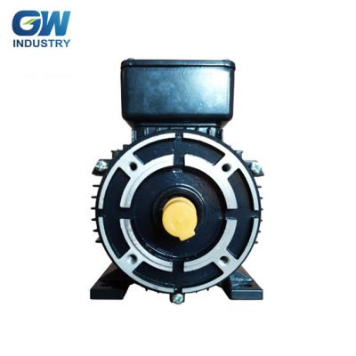 China drip-proof 50HZ gw 0.25KW 1400rpm 220v 380v general purpose small three phase AC electric motors for sale