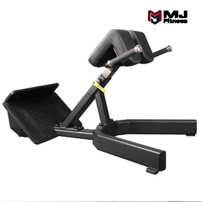 China Back Strength Machine Fitness Equipment Gym Exercise Machine Professional Home Extension/Roman Chair for sale