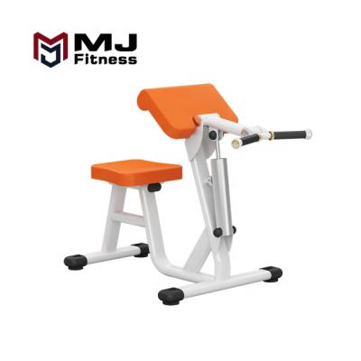 China Universal Hot Selling Home Gym Equipment Training Seated Biceps Curl Machine Fitness Equipment Training for sale