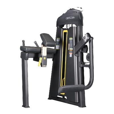 China Popular Commercial Use Sports Equipment Gym Equipment Gym And Commercial Body Building Glute Machine for sale