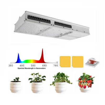 China 1:1 Replacement 1000W Hps Factory Wholesale OEM ODM Customized Logo LED Replacement High Ppfd Ct 1930 800W 1000W 1200W 11 HPS Grow Light For Herbal Medicine for sale