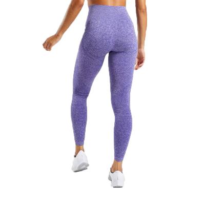 China Breathable Women Gym Use High Waist Yoga Legging Sports Scrunch Butt Seamless Vital Femme Gaiters for sale