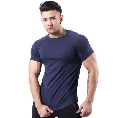 China QUICK DRY Custom Tall Sports O Neck T Shirts Men's Sheer Color Shorts Bodybuilding Muscle Running Training T Shirts for sale