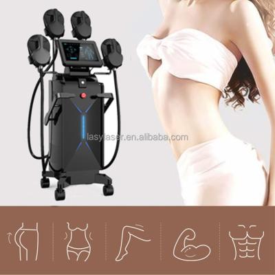 China 50-60hz Non Invasive Body Sculpting Machine , 800W Tesla Sculpt Machine for sale