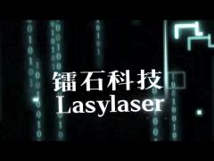 China Lasylaser Beauty Supply