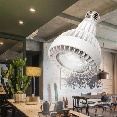 China Popular Aluminum Ceiling 6000K E27 Par30 Bulb Spot Light High Brightness Indoor Mount Housing Spotlight for sale