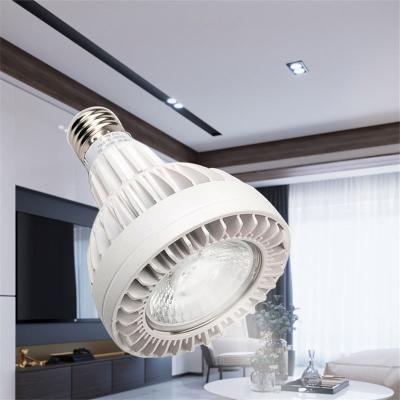 China High Brightness Showcase Decor 220V 30W Cabinet Jewelry Cob Recessed Mounted Led Spotlight for sale