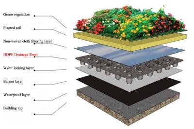 China 1000mm HDPE van de de Uitdrijvingslijn van het Drainageblad het Materiaal van de Bladuitdrijving Te koop