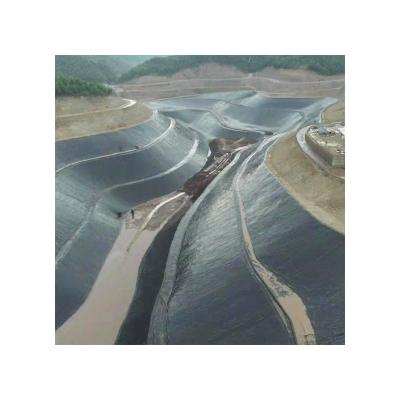 Cina Linea dell'estrusione dello strato della macchina del LDPE Geomembrane del polietilene di densità bassa in vendita