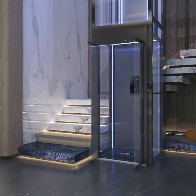 China Modern hot sale mini home lift china lifting platform lift with new designed steel strip elevator HEMUJIA for sale