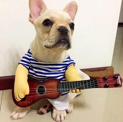 China Viable Cool Pet Clothes For Small Dogs Cats Dog Puppy T-shirt Cute Clothes Stripes Cotton With Guitar for sale