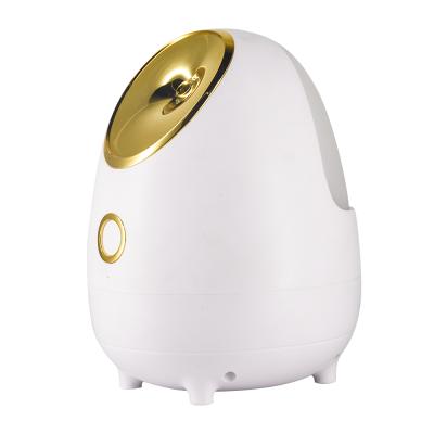 China 2021 Mini Handy Facial Steamer Face Moisturizer SPA Multifunction SPA Steam Face Instrument for sale