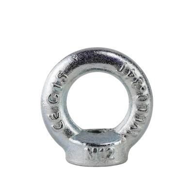 China Din582 Heavy Industry Galvanized Drop Forged Eye Lifting Nut for sale