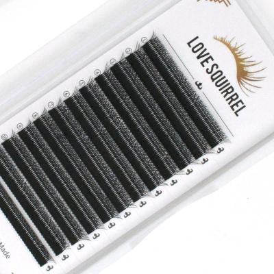 China W Eyelash Love Squirrel New Product W Eyelash Extension C and D Curl 0.07mm Hot Selling Eyelash Extensions and W Eyelash Extension for sale