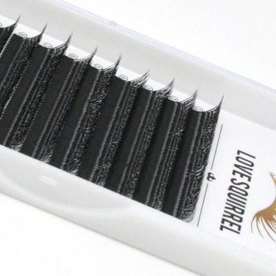 China Individual W Shape Volume Eyelash Extension False Eyelashes W Weave Clover Lashes Private Label Lashes for sale