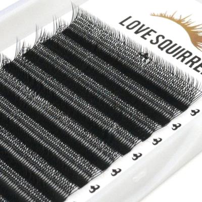 China Individual Private Label Clover Eyelash Clover Shape Volume Eyelash Extension Weave Clover Wicks Lashextensions for sale