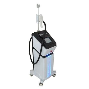 中国 492 - 美装置、機械を細くするボディを細くする455nm Cryolipolysis 販売のため