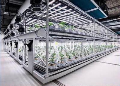 China Gepersonaliseerd Aeroponics Hydroponics System voor het planten Te koop