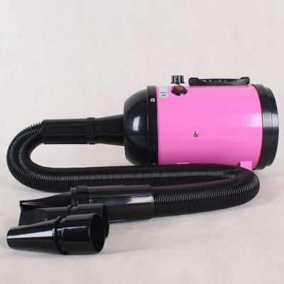 China Viable High Speed ​​2600W Pet Dryer Grooming Dog Hair Fast Blower Fan For Pets Hair Drying for sale