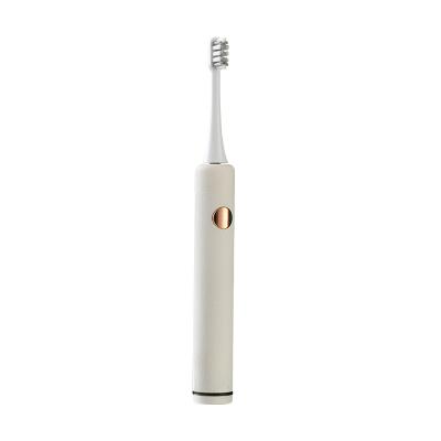 China ABS IPX7 Waterproof Private Label Slim Rechargeable Electric Toothbrush For Lovers for sale