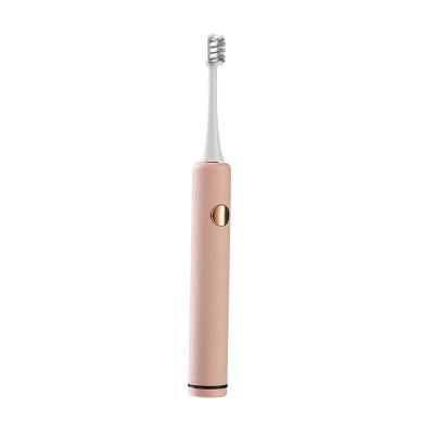 China Mini ABS Toothbrush Replacement Ultrasonic Rechargeable Cordless Electric Toothbrush Adult for sale