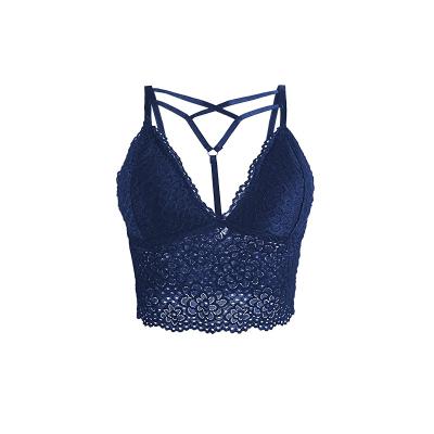 China High Quality Comfortable Hot Selling QUICK DRY Hot Selling Lace Chest Wrap Anti-stain Lace Bra Soft Removable Pad Lift Up Lace Bra for sale