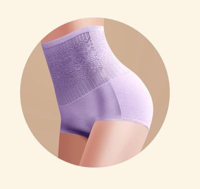 China Wholesale Antibacterial Ladies Mesh High Waist Abdominal Briefs Hip Lifter Body Shaper Comfortable Slim Pants for sale