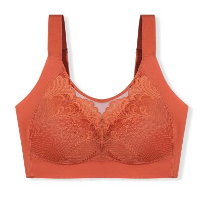 China New high quality wholesale one piece larp ladies padded backless seamless bra comfortable lace seamless fancy lingerie for sale