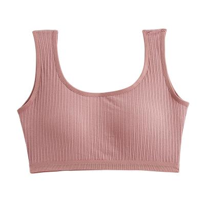 China GN Manufacturer Wholesale Fixed Cup Comfort Tank Top Cotton Wrap Daily Breathable QUICK DRY Mesh Bra for sale