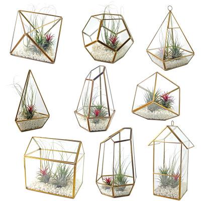 China Stylish Elegant Garden Decoration Plant Geometric Glass Succulent Pots for sale