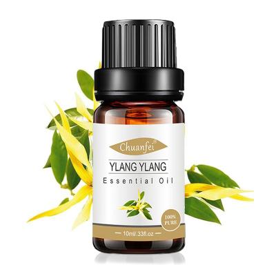 China Skin Revitalizer Baolin 100% Pure Natural Aromatherapy Ylang Ylang Essential Oil Bulk Organic Price for sale