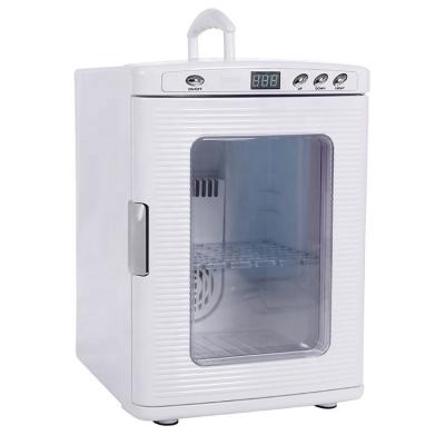 China DC AC Fridge Quality Supplier Portable ABS Glass Door No Noise DC12V 25L Cute Cooler Refrigerator And Mini Mini Box Warmer Fridge for sale