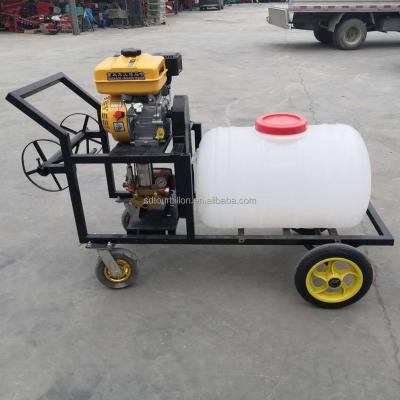 China 100L automatic diesel power cart power agricultural sprayer sprayer power agricultural sprayer for sale