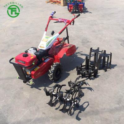 China Ariculture Gardening Tools 6.5HP 100-150mm and Rotary Equipment Gasoline Tiller Power Tiller Farm Cultivator Agriculture for sale